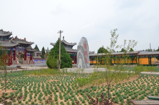 BWG_5070_conew2.jpg