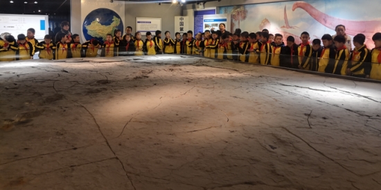 微信图片_201912041626565_conew2.jpg