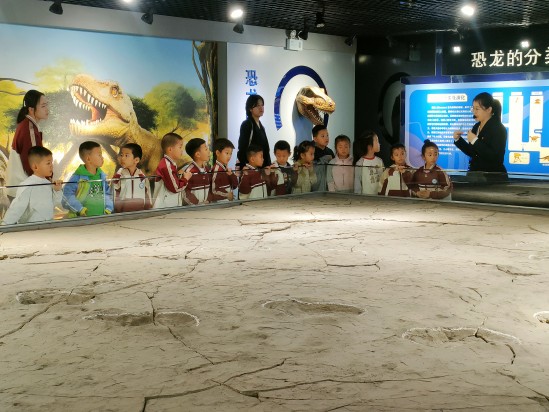 探秘博物馆 邂逅家乡美 神木市第三十一幼儿园小朋友走进神木市博物馆参观