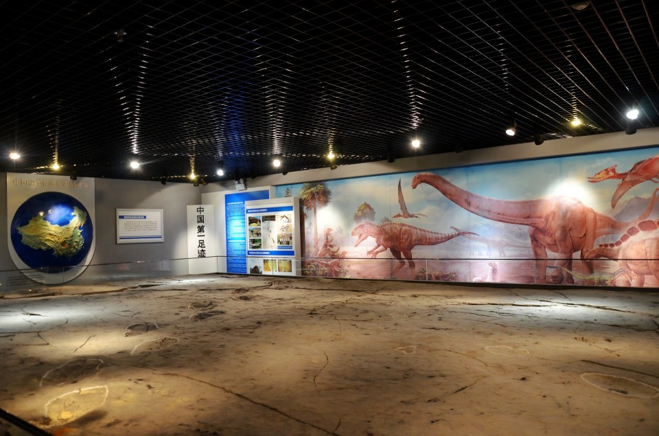 恐龙展厅