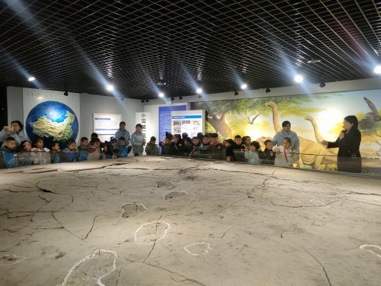 探秘远古与先秦！神木萌娃解锁博物馆里的双重惊喜