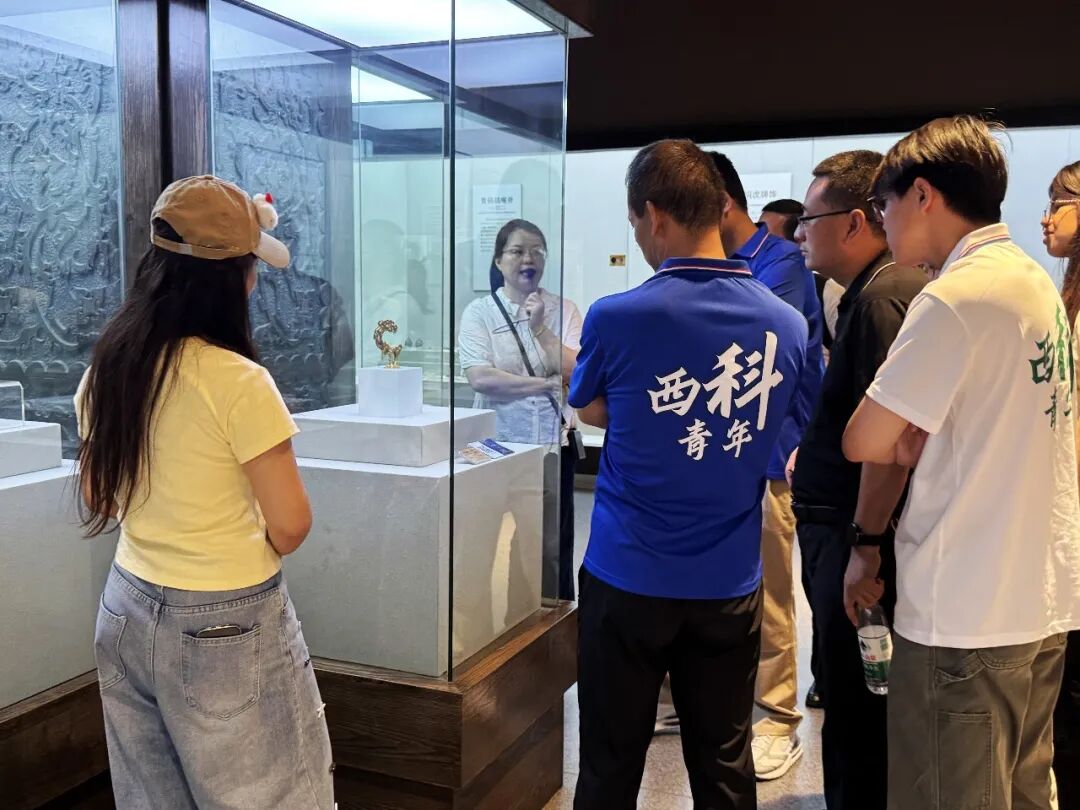 | 研学实践 | 青春三下乡 溯源古麟州 西安科技大学实践团走进神木市博物馆研学观展