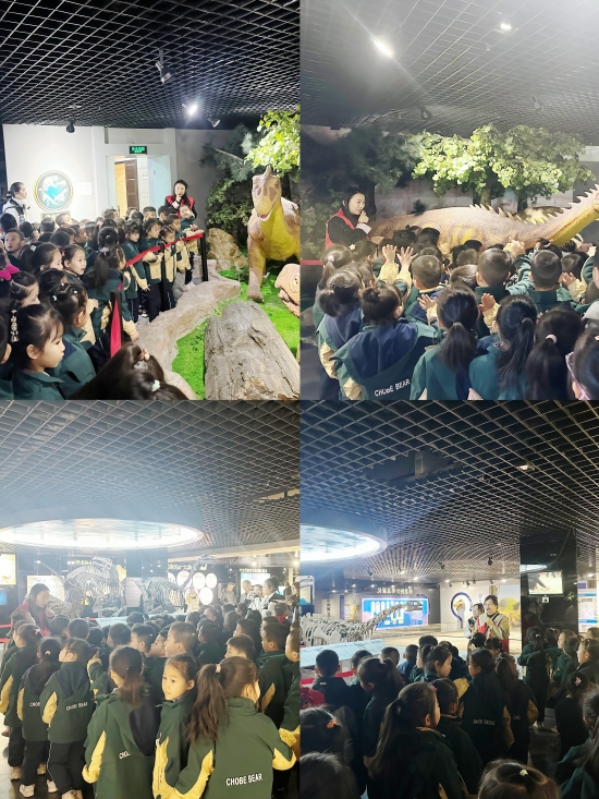 微信图片_20250319155022_conew1.jpg
